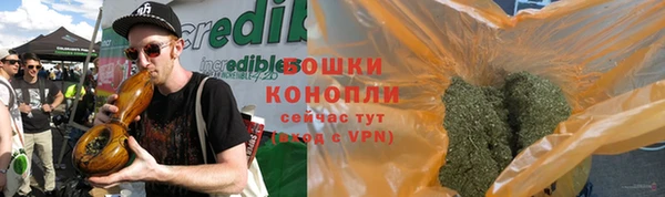 амф Вяземский