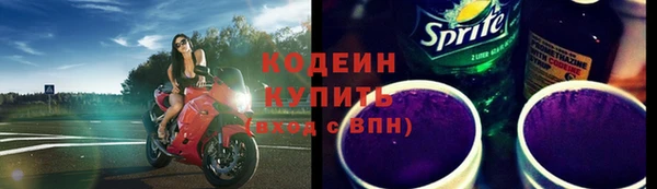 амф Вяземский