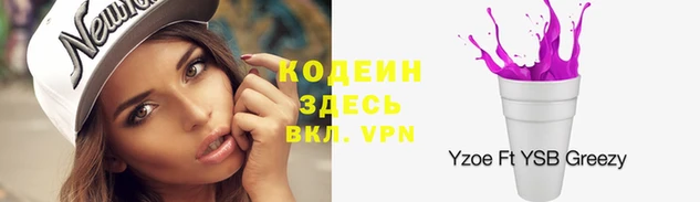 амф Вяземский