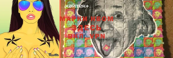амф Вяземский